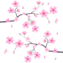 Fototapeta premium Ornamental border featuring sakura flowers. Floral art design suitable for greeting cards, banners, weddings. Editable vector illustration on white background