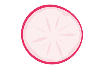 Radish slice. Round slice of radish sliced ​​on a transparent background, top view