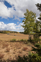 Obraz premium Road through Cedar Breaks National Monument, Utah