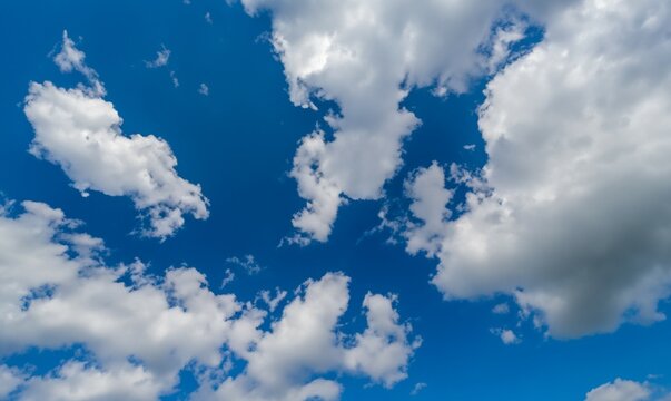 Cumulus humilis clouds in blue sky, view from below. Cumulus humilis developing into fractus under. Empty cloudy blue sky. Copy space.