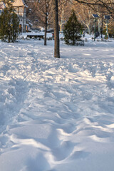 Scenic winter scene in the beautiful public park of Izvor in a  snowy winter morning