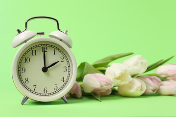 Spring time. Alarm clock and beautiful tulips on green background