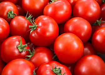 Fresh Red Tomatoes Close Up