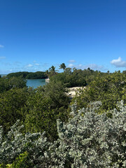 Overlooking channel in Key West Florida