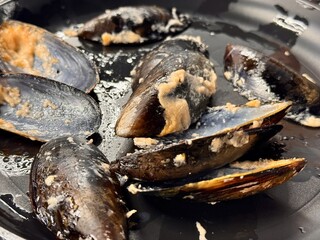 Deliciously prepared mussels are elegantly arranged and served on sleek black plate, ready for your...