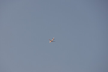 飛行機