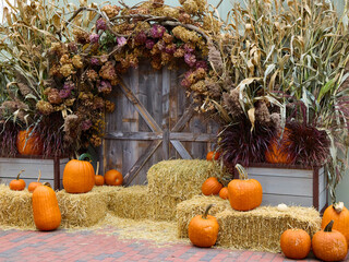 pumpkin and pumpkins on hay