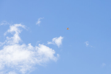Hawk in the sky
