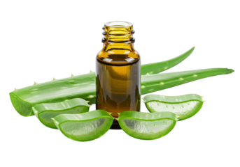 Aloe vera essential oil with sliced isolated on transparent background