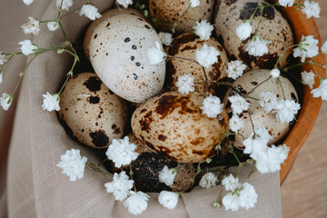 Quail Eggs iwith baby wreath Flowers in Wooden Bowl. Easter backgorund.