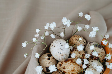 Obraz premium Quail Eggs iwith baby wreath Flowers in Wooden Bowl. Easter backgorund.