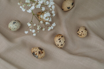 Quail Eggs Arranged on Neutral Fabric. Natural healthy food and organic farming concept