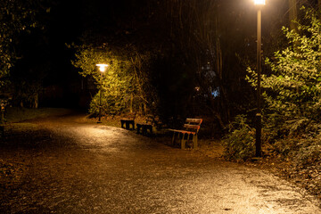 Holzbänke, Straßenbeleuchtung und grüne Bäume. Straße im Park bei Nacht mit Laternen in gelbem...