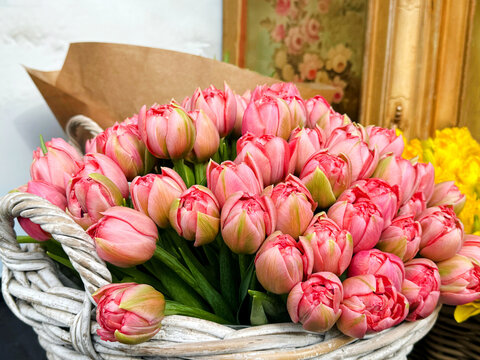 Bouquet of pink tulips flowers  - Powered by Adobe