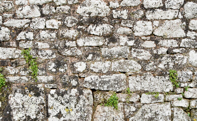 detail shot of an old stone wall with lichen and plants growing on it