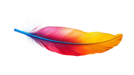 Colorful feather on transparent background