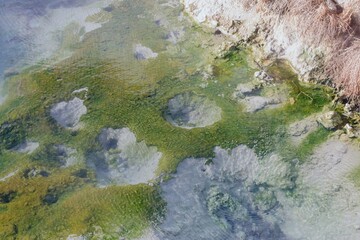 Overhead view of a hot spring in Nevada, showing the clear water, green algae, and surrounding rocks. The geothermal activity creates a unique landscape. Trego Hot Springs, Gerlach, Nevada, USA
