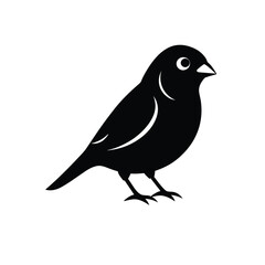 sparrow bird silhouette on white background
