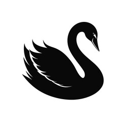black swan vector