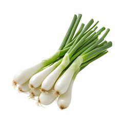 Fresh Bunch of Scallions Against Transparent Background