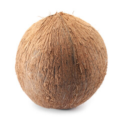 One whole coconut in shell isolated on white