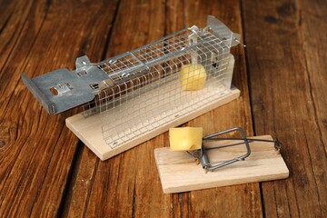 Two different mouse traps with bait on floor, closeup