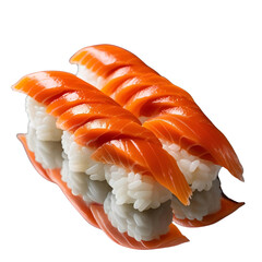 fresh sushi and salmon meat isolated 