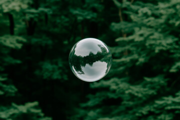 Soap Bubble with Tree Reflection against Green Foliage