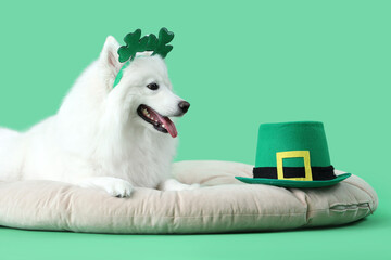 Cute Samoyed dog with leprechaun's hat and novelty headband on green background. St. Patrick's Day...