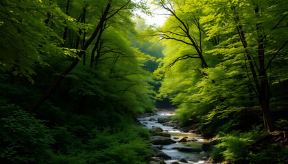 A realistic ravine filled with thriving green trees, enhanced by advanced technology to highlight the vibrant leaves and deep shade of a woodland sanctuary.

