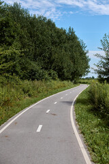 Fototapeta premium Peaceful bike path winds through dense, green forest under clear blue sky, inviting leisurely exploration and outdoor enjoyment
