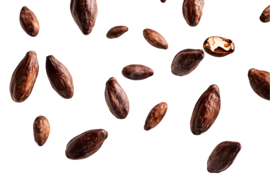 Multiple Falling Cocoa Beans on Transparent Background, PNG
