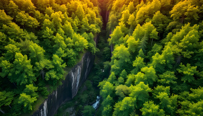A breathtaking view of a ravine filled with vibrant green trees, showcasing the integration of advanced imaging technology in nature photography.
