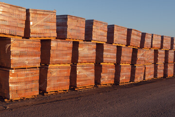 Bricks stacks on wooden pallets arranged in line near construction site path