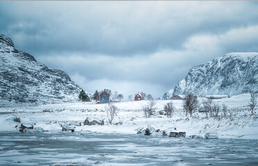 Frozen Fjord in Lofoten, Norway with Snow-Capped Peaks and Snowy Sky