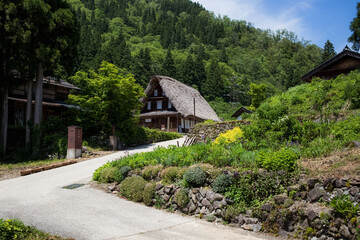 Fototapeta premium A road to a traditional thatched roof home in Japan.