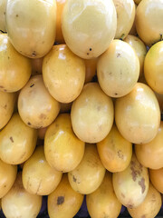 Close-up of yellow sour passion fruits, highlighting the peel texture and vibrant color. Ideal for projects on tropical fruits, culinary, and fresh food.