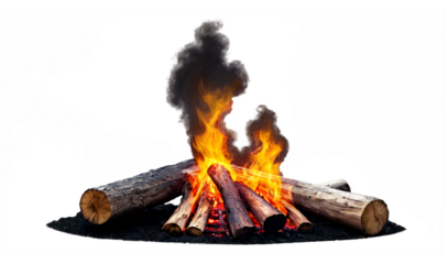 Campfire burning logs isolated background