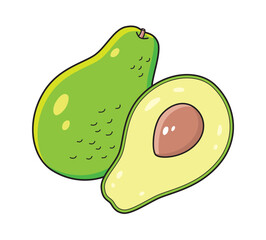 Avocado fruit with a half slice isolated vector illustration