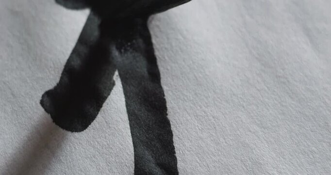 Calligraphy and Ink Painting