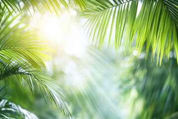 Obraz premium Tropical palm leaves filtering bright sunlight in lush jungle