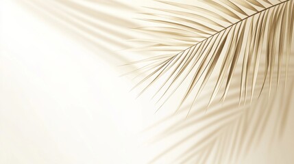 Obraz premiumYou said: Light beige background with blurred palm leaf shadow in the foreground, perfect for elegant and minimalist product display or branding design.