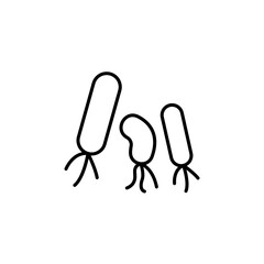 Pylori Bacteria line icon