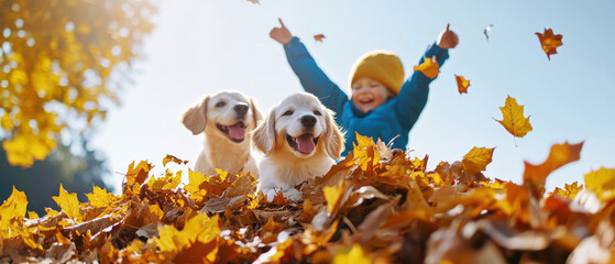 Happy dogs playing in autumn leaves with joyful child in blue coat