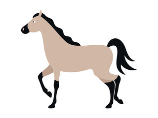 Horse walking. Animal character. Vector isolated flat illustration