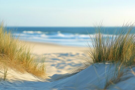 Serene coastal view featuring vibrant beach grass and gentle ocean waves under a bright sky : Generative AI