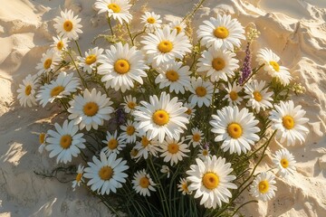 Sunlit Chamomile Daisy Floral Arrangement on Ivory Beige Background