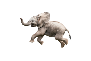 Baby elephant is flying through the air, isolated