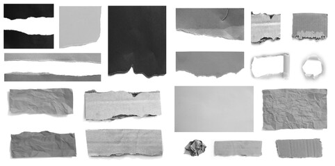 Set of ripped torn paper on white background.