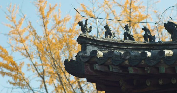 Asian Chinese women taking photos while hiking and exploring the ancient architecture and forest of Dai Temple.